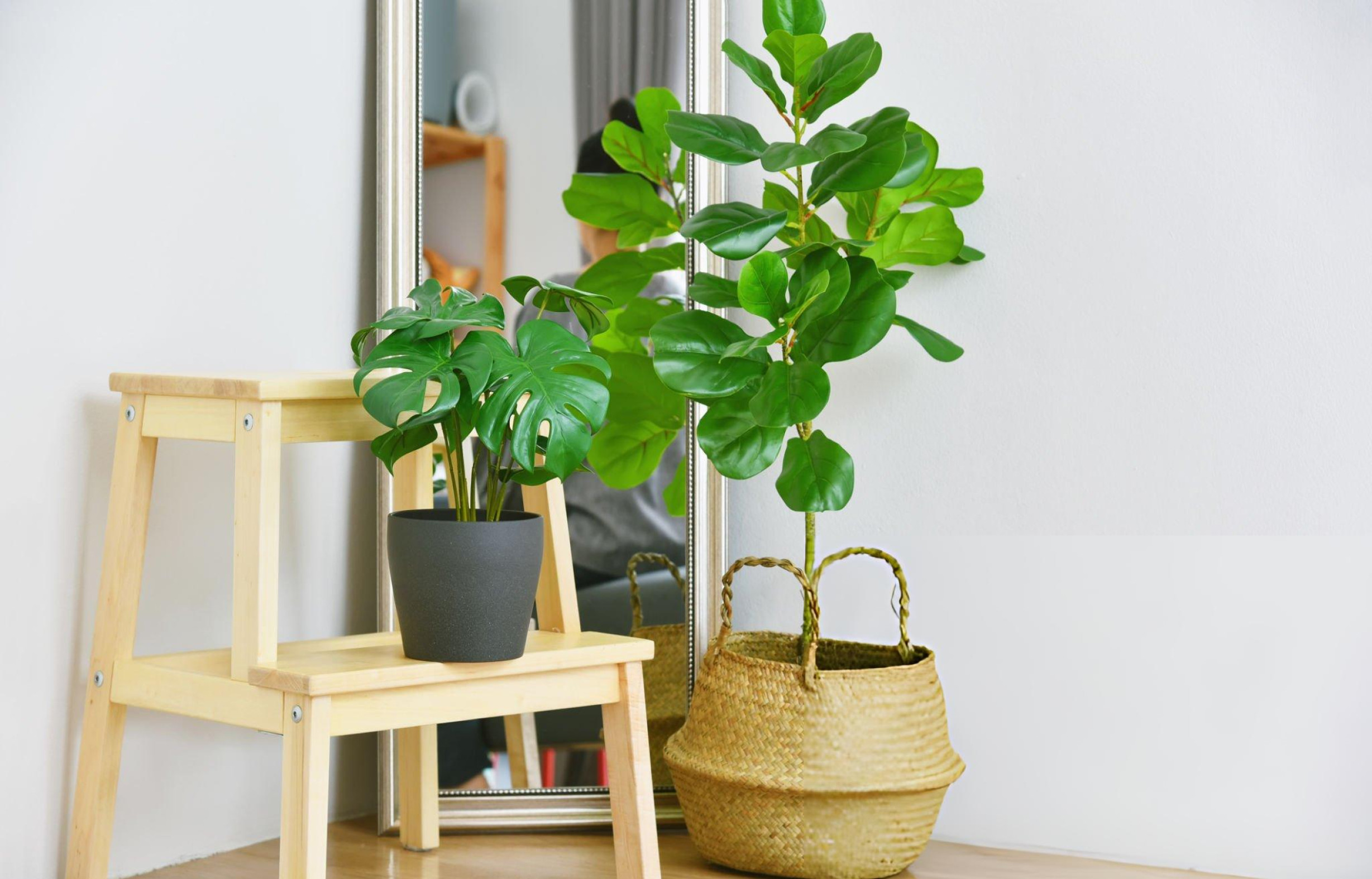 Best Faux Fiddle Leaf Fig Tree: Enhance Your Home Décor Effortlessly